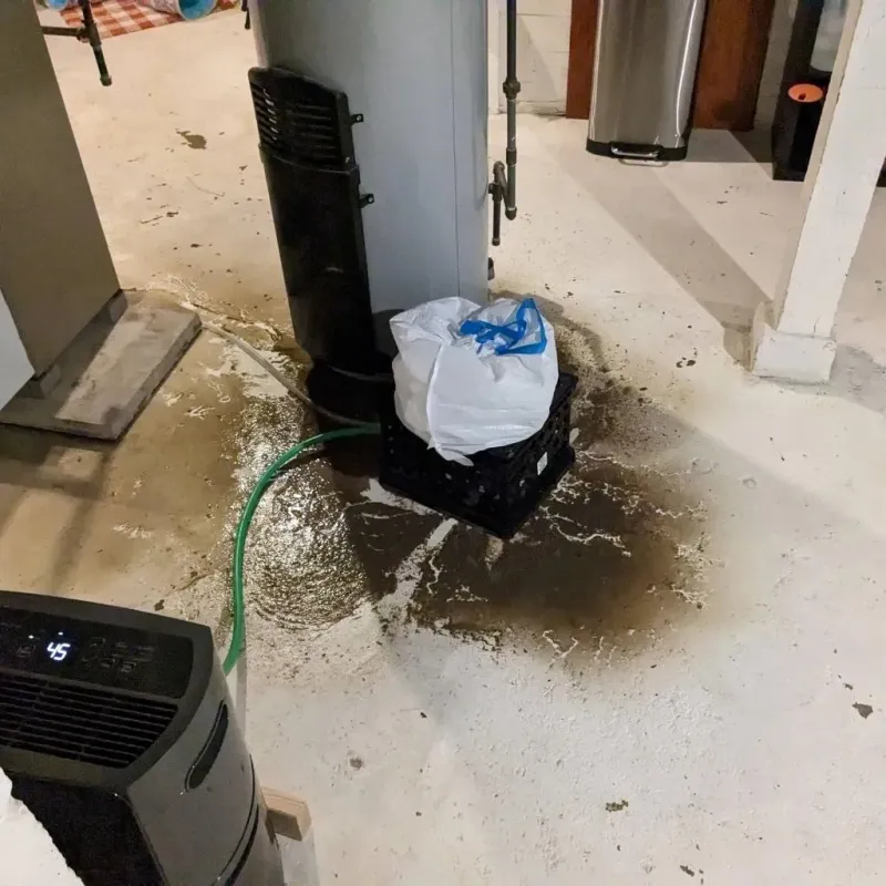 Sewage Backup Cleanup Service in Stafford County, KS